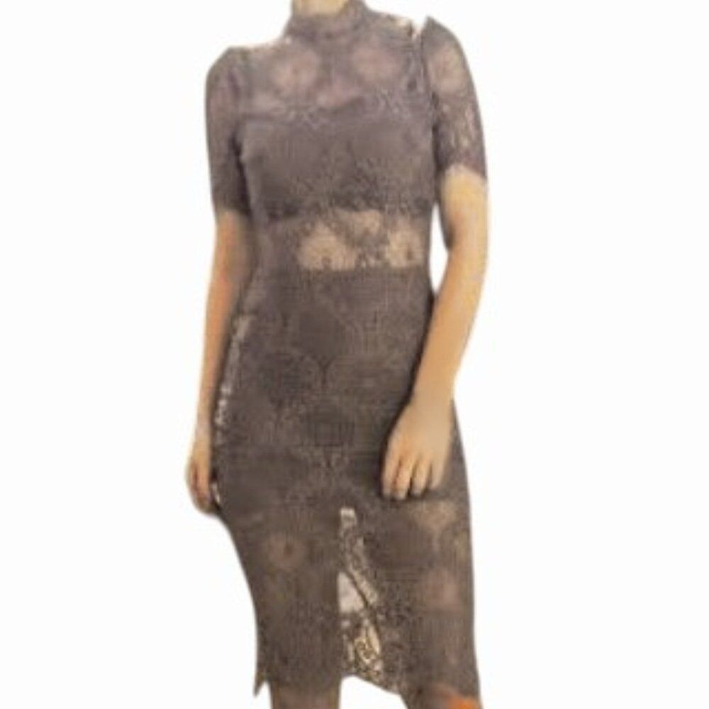 L'atiste Dress Victorian Lace Romantic Stretchy Sheer Panels Brown Mauve Tan S